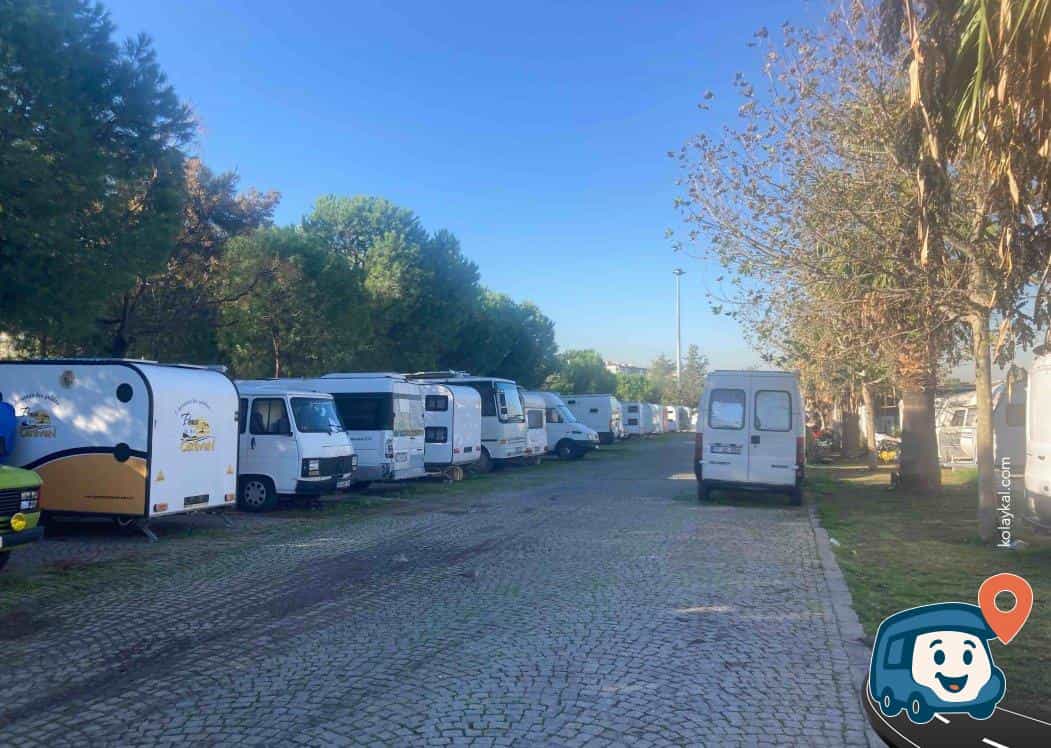 3 / 4